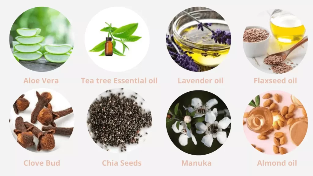 Kerassentials Ingredients