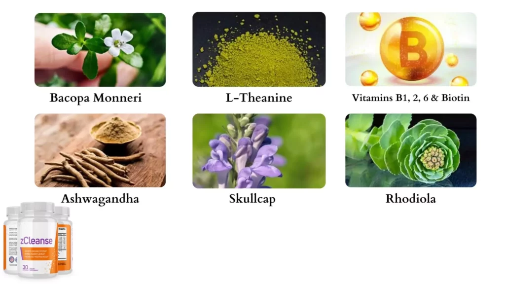 zcleanse ingredients