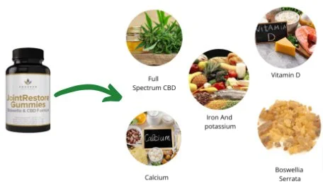 Joint Restore Gummies Ingredients