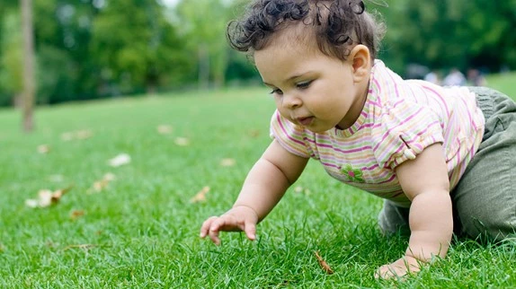 When Do Babies Start Crawling?