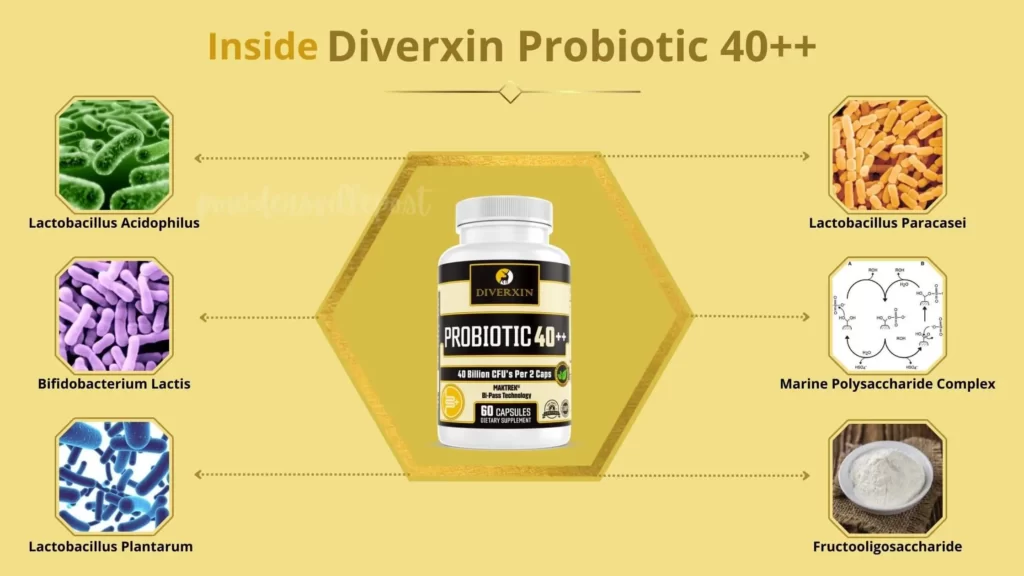 Diverxin Probiotic 40++ Ingredients
