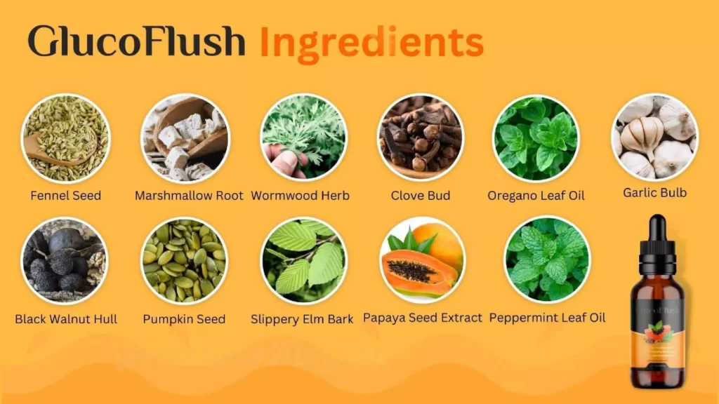 GlucoFlush Ingredients
