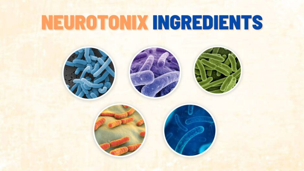 NeuroTonix Ingredients