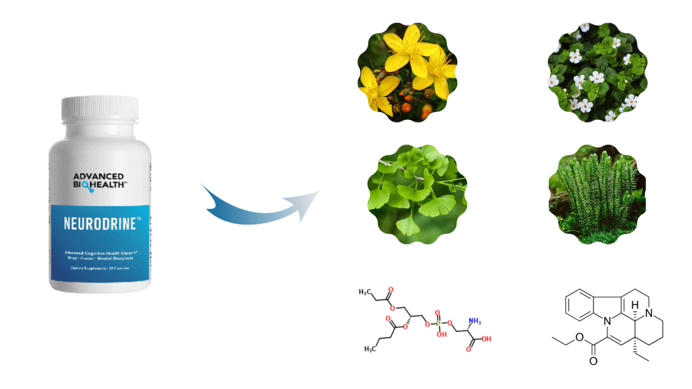 Neurodrine Ingredients